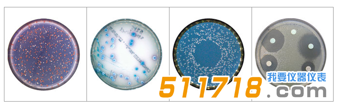 法國(guó)interscience Scan 500全自動(dòng)菌落計(jì)數(shù)器1.png