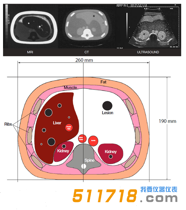 1535012817129348.png 美國(guó)CIRS 057A三維腹部模體1.png